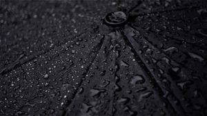 Umbrella Water Droplets